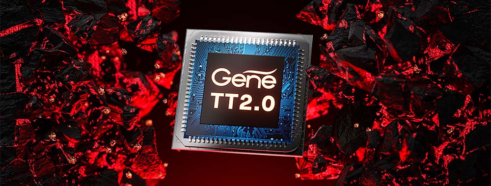 gene tt 2.0 chip