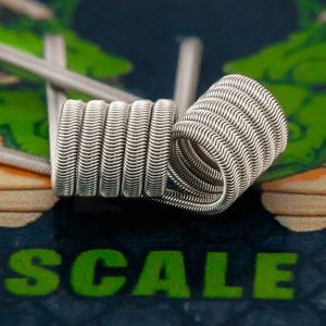 Scale Dual Alien Coil 0.20Ω från Burn Them All Coils